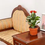 Apartamento 2 Bedroom For 4 People With Free Public Parking Lisboa